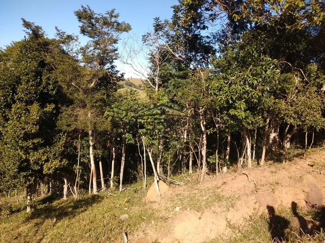 Imagem 10: Fazenda à venda no bairro Macacos - Silveiras/SP