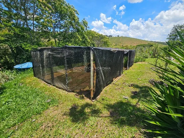 Imagem 13: Rancho com 3 quartos à Venda, Ponte Velha - Soledade de Minas