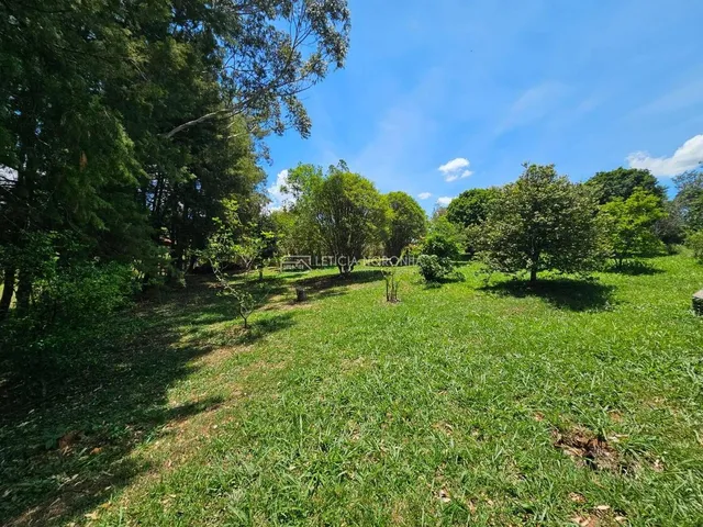 Imagem 16: Rancho com 3 quartos à Venda, Ponte Velha - Soledade de Minas