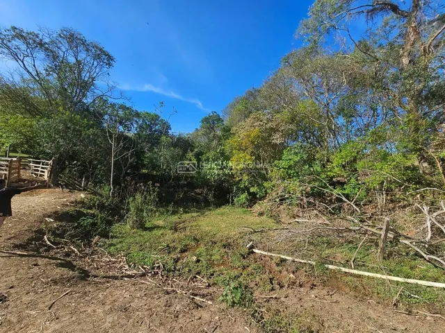 Imagem 4: Rancho à Venda, Parque Gobi - Carmo de Minas