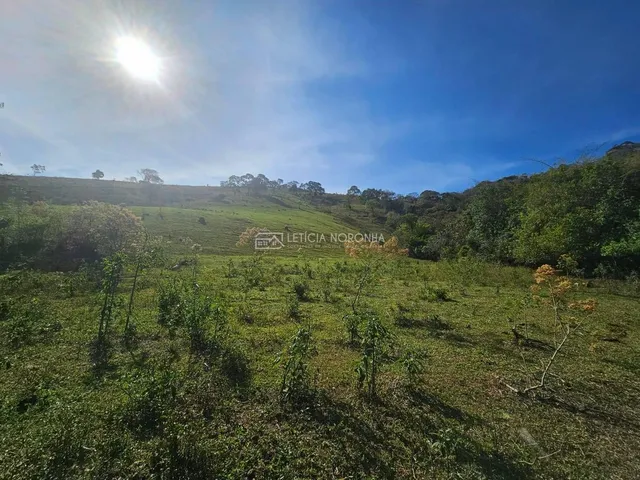 Imagem 13: Rancho à Venda, Parque Gobi - Carmo de Minas