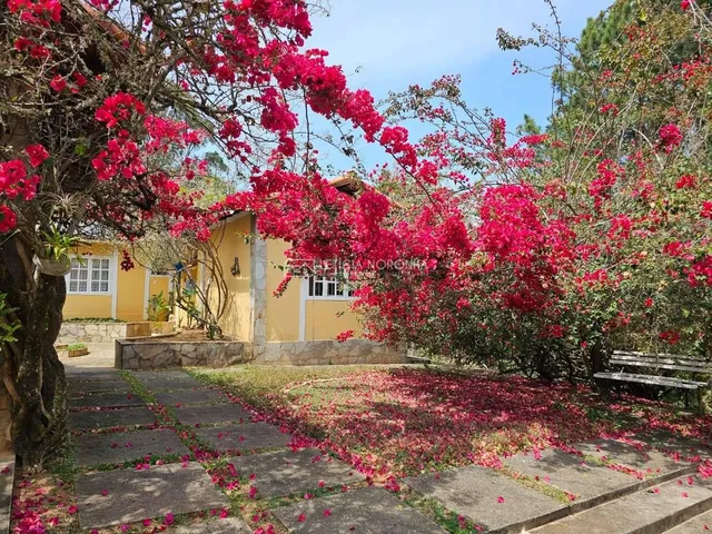 Imagem 6: Sítio com 5 quartos à Venda, Ramon - São Lourenço