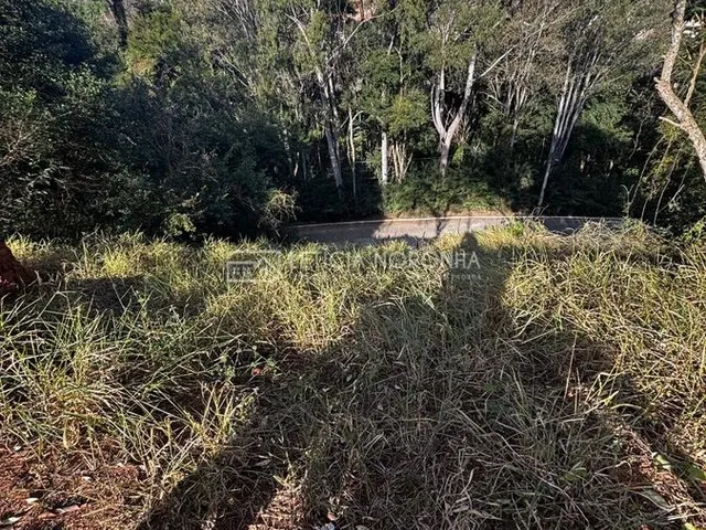 Imagem 2: Terreno À Venda