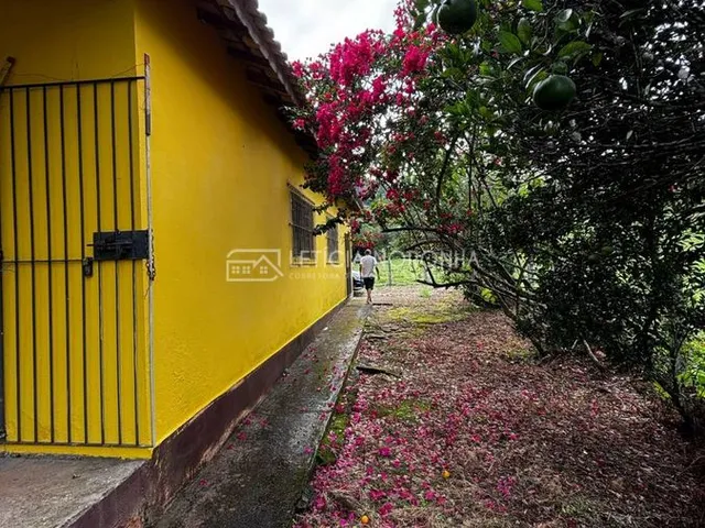 Imagem 9: Fazenda á venda