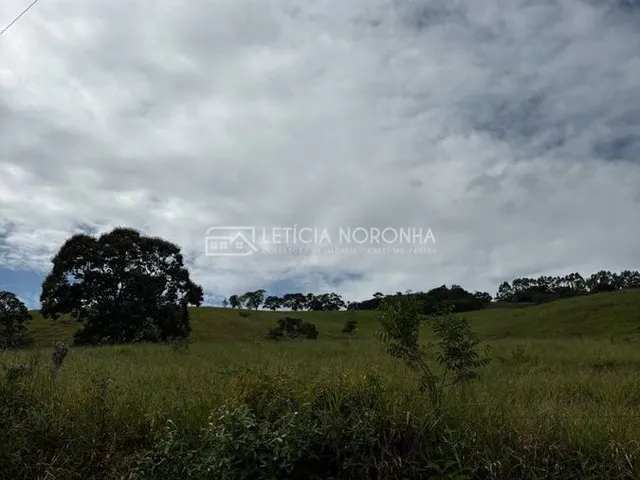 Imagem 15: Fazenda á venda