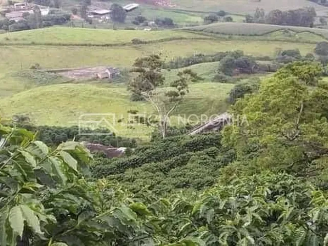 Imagem 9: Fazenda a venda Fazenda / sítio com 3 dormitórios