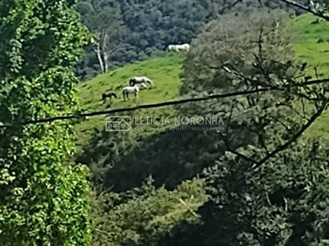 Imagem 12: Fazenda a venda Fazenda / sítio com 3 dormitórios