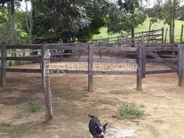 Imagem 15: Fazenda a venda Fazenda / sítio com 3 dormitórios