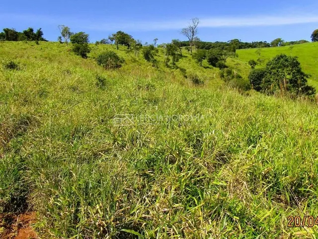 Imagem 4: Chácara a venda