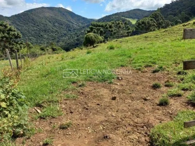 Imagem 6: Fazenda a venda mg