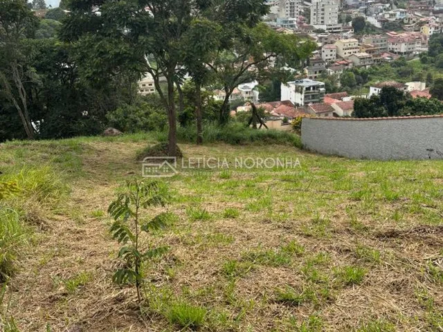 Imagem 6: Lote a venda Terreno / lote com 1 dormitório