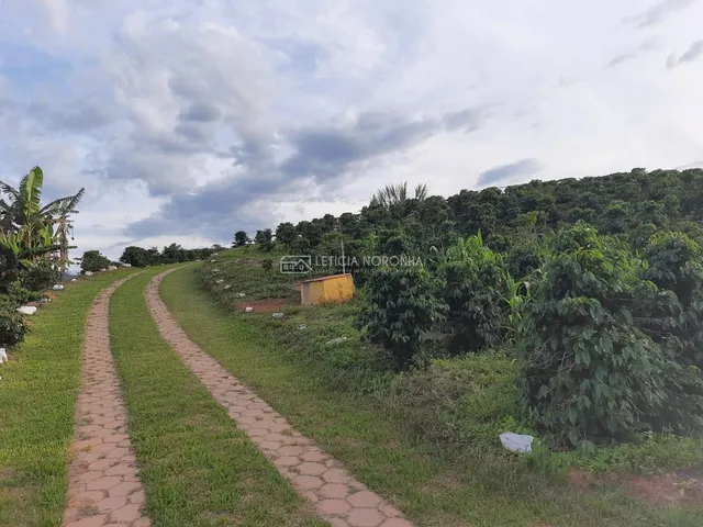 Imagem: Sítio com 3 quartos, Centro - Olímpio