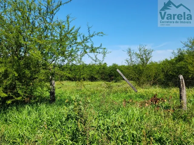 Imagem: Terreno Residencial em Uruguaiana - Rs