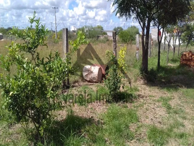 Imagem 7: Casa em Uruguaiana - Rs