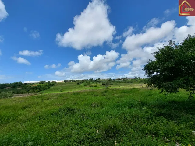 Imagem 7: Área com 80.000 na entrada de Aracaju