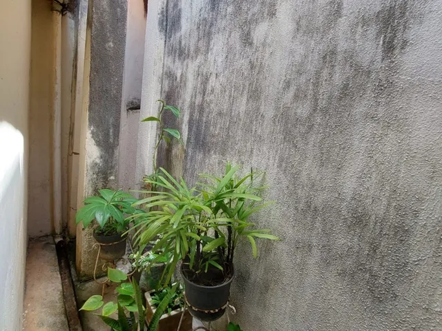 Imagem 4: CASA RESIDENCIAL em ARACAJU - SE, SANTO ANTÔNIO