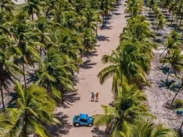 Imagem 2: Flat para Venda em Ipojuca, Porto de Galinhas, 1 dormitório, 1 suíte, 1 banheiro, 1 vaga