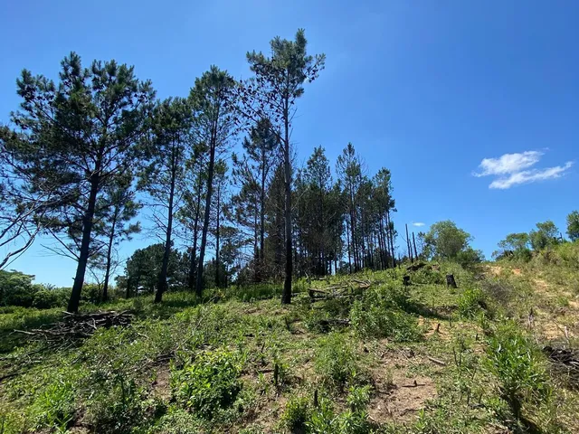 Imagem 2: Área rural em Porto Alegre