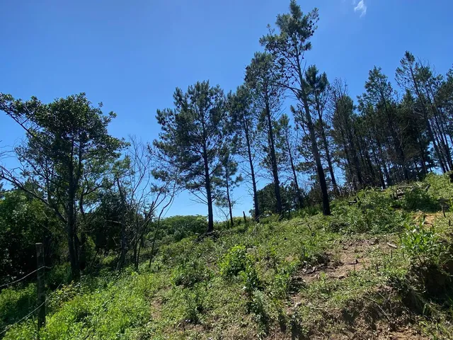 Imagem 3: Área rural em Porto Alegre