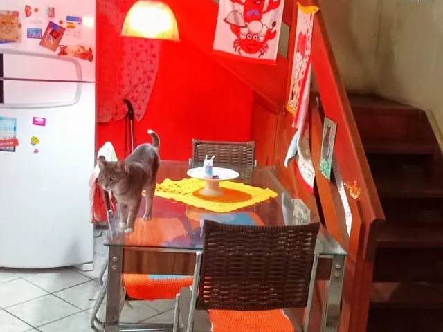 Imagem 2: Casa no bairro Restinga - 4 dormitórios