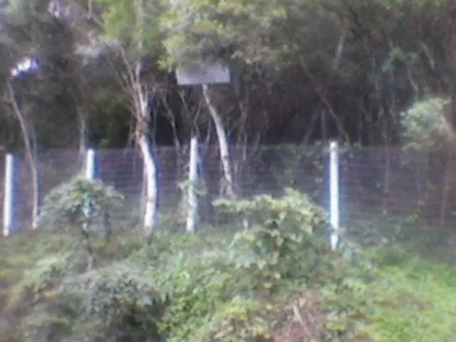Imagem: Terreno para Venda - 5100M², Ponta Grossa