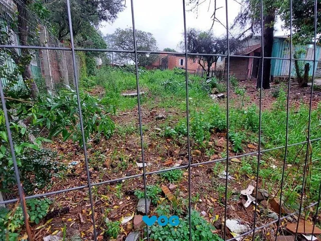 Imagem: Terreno à venda Liberdade Esteio/RS