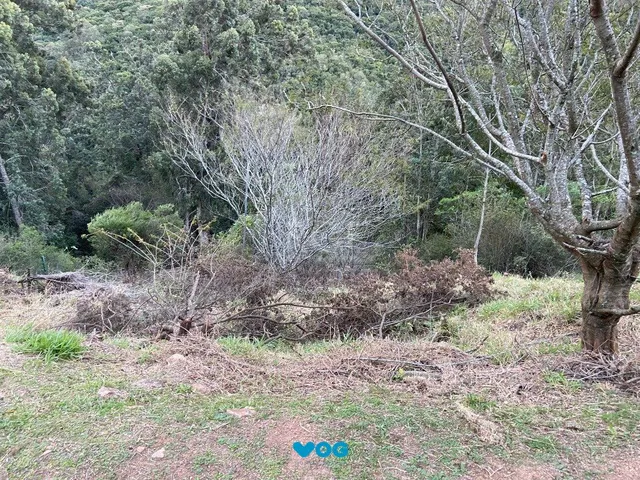 Imagem: Terreno para Venda - 0m², 0 dormitórios