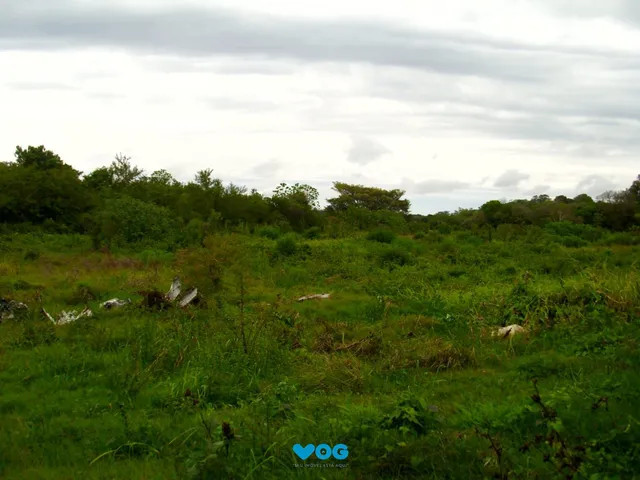 Imagem: Campo à venda Fiuza Viamão/RS