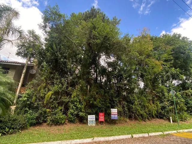 Imagem: Excelente Terreno Arborizado no Cantegril