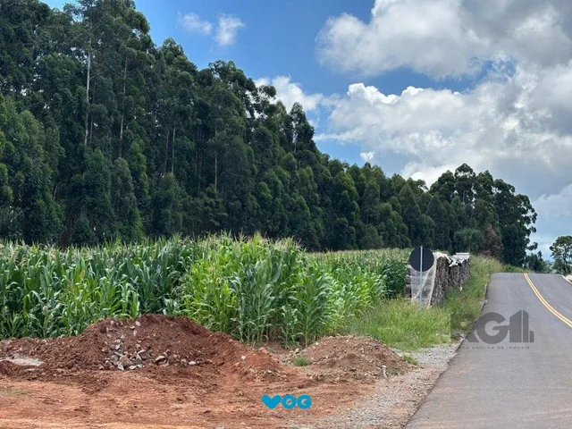 Imagem 3: Lindo Sitio 5,4 ha a 7km do Lago Negro