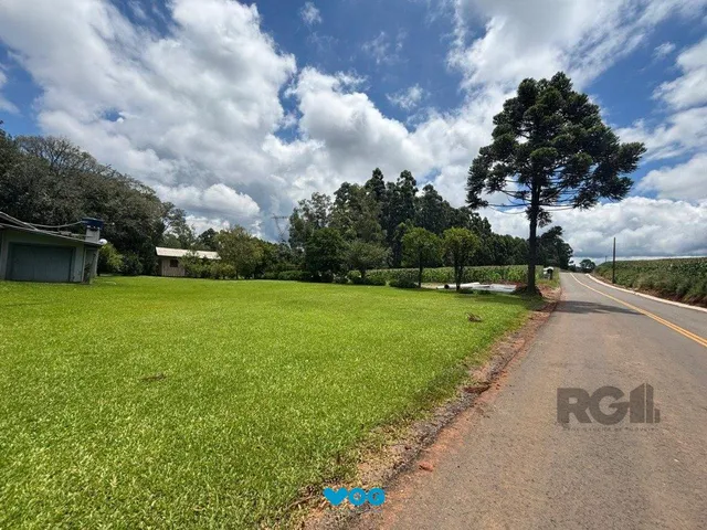 Imagem 4: Lindo Sitio 5,4 ha a 7km do Lago Negro