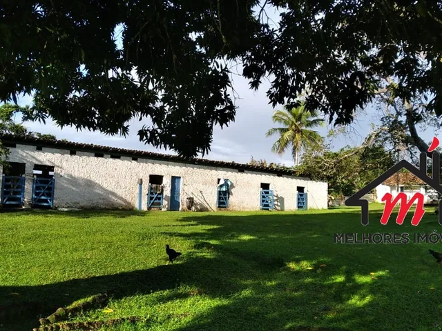 Imagem 2: FAZENDA COMERCIAL em MATA DE SÃO JOÃO - BA, costa de sauipe