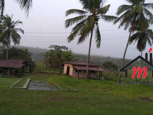 Imagem 5: FAZENDA COMERCIAL em MATA DE SÃO JOÃO - BA, costa de sauipe