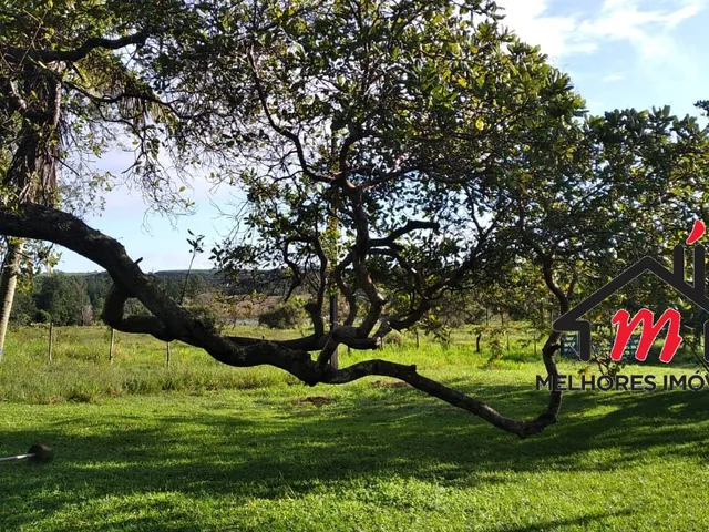 Imagem 8: FAZENDA COMERCIAL em MATA DE SÃO JOÃO - BA, costa de sauipe