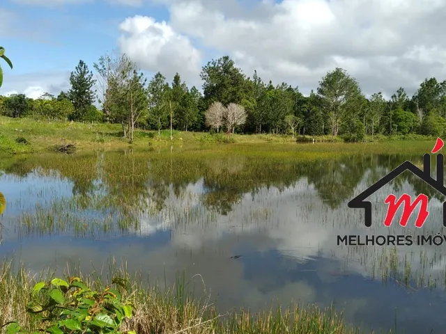 Imagem 11: FAZENDA COMERCIAL em MATA DE SÃO JOÃO - BA, costa de sauipe