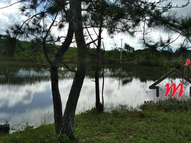 Imagem 14: FAZENDA COMERCIAL em MATA DE SÃO JOÃO - BA, costa de sauipe