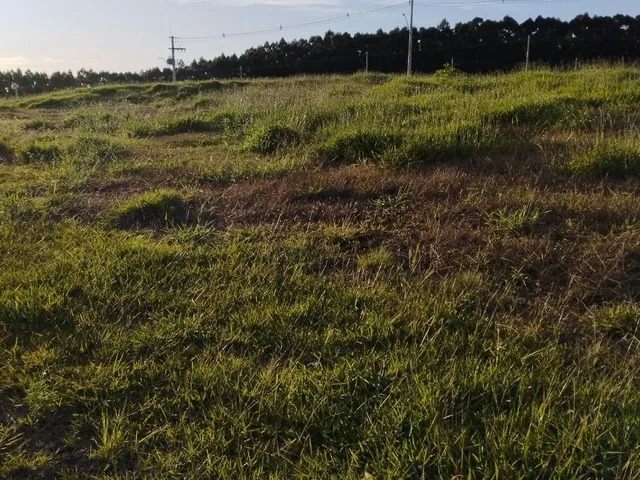 Imagem 2: Terreno no Altos do Lago