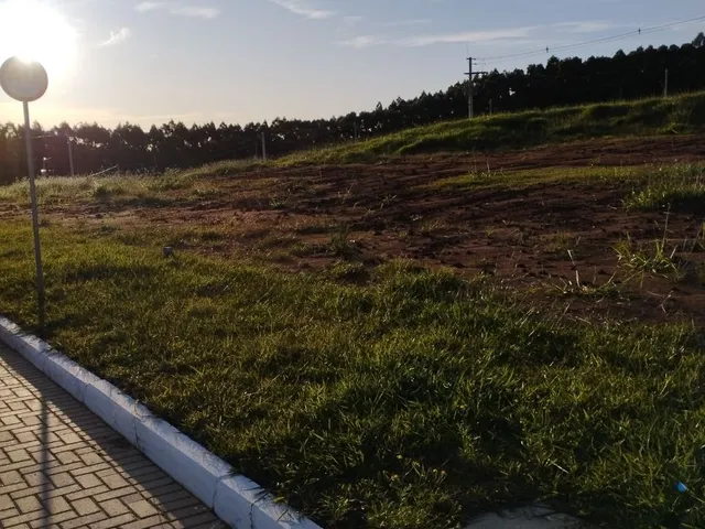 Imagem 3: Terreno no Altos do Lago