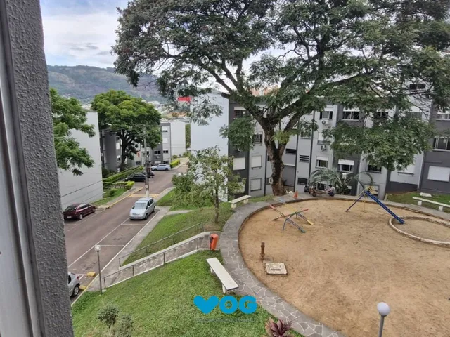 Imagem: Lindo apartamento 1Dormitório na Ary Tarrago