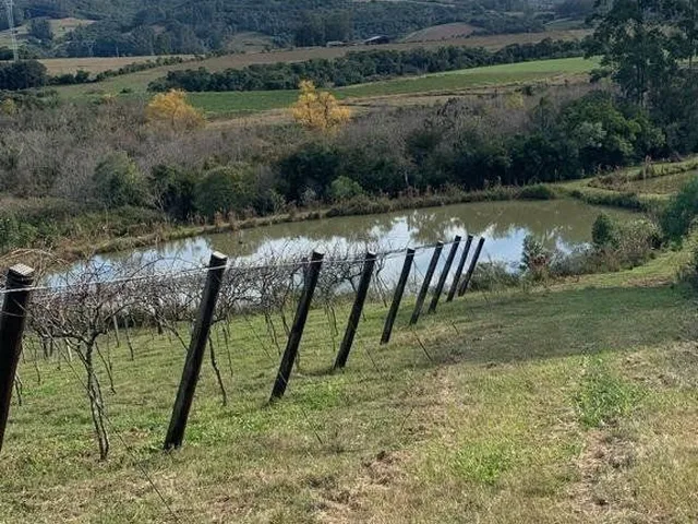 Imagem: Excelente Sitio de 22 Ha em Mariana Pimentel