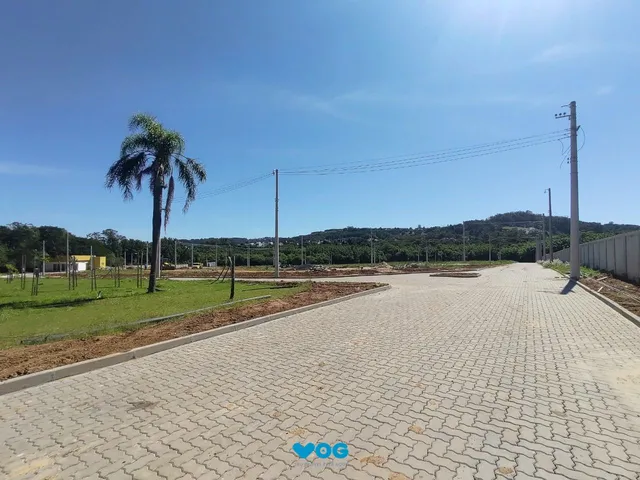 Imagem: Terreno à venda Campo Novo Porto Alegre/RS