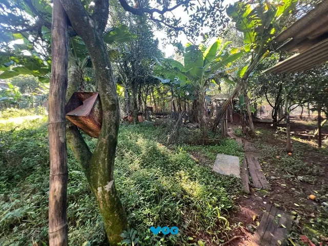 Imagem 5: Chácara com 3 dormitórios à venda, 2000 m² por R$ 950.000,00 - Loteamento Rural