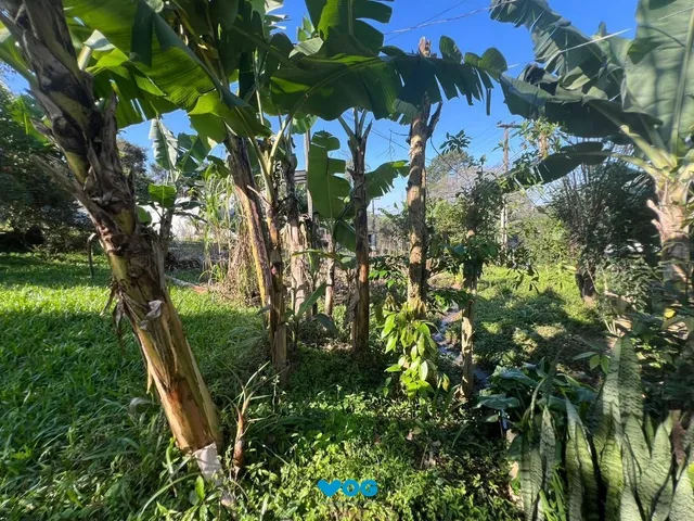 Imagem 6: Chácara com 3 dormitórios à venda, 2000 m² por R$ 950.000,00 - Loteamento Rural
