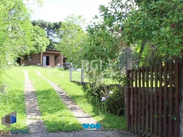 Imagem: Sítio 3 dormitórios à venda Branquinha