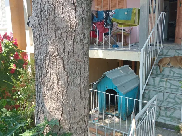 Imagem: Casa 2 dormitórios à venda Espírito Santo