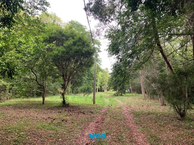 Imagem 3: Lindo Sítio em Águas Claras - Viamão