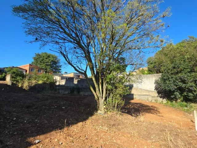 Imagem: Excelente Terreno no Bairro Tristeza