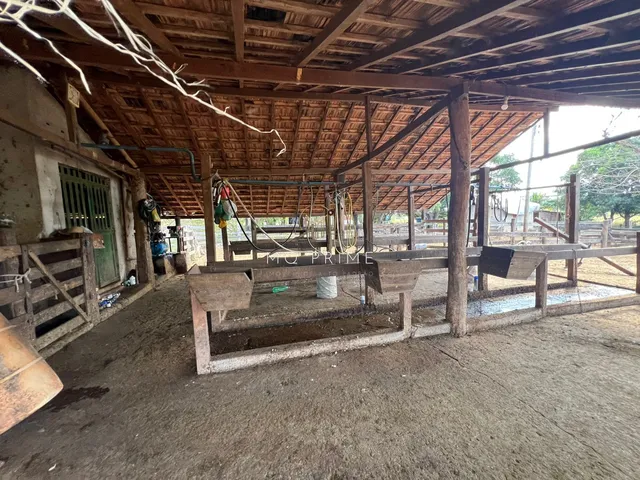 Imagem 9: Fazenda / Sítio / Chácara à venda, 840000000m² - Zona Rural