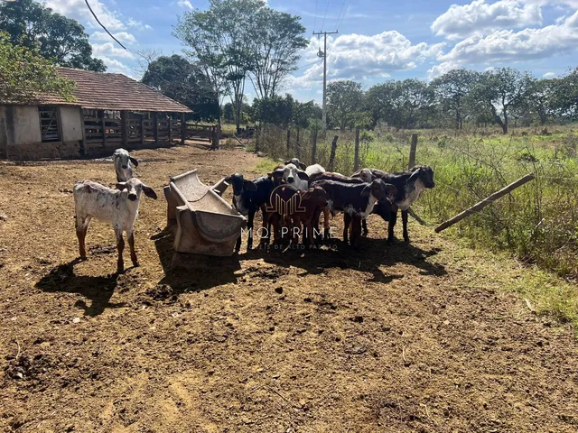 Imagem 16: Fazenda / Sítio / Chácara à venda, 840000000m² - Zona Rural