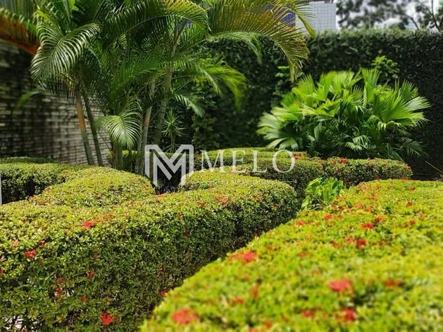 Imagem 7: Oportunidade em AFLITOS: 120m²,03qts, 01suite, 02 vagas cobertas.